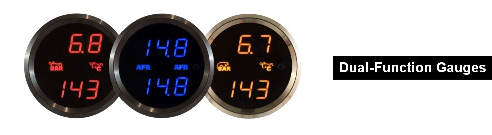 D1-Series Dual-Function Gauges