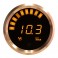 V1 Series Fuel Pressure Monitor 